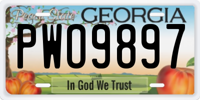 GA license plate PWO9897