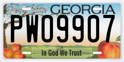 GA license plate PWO9907