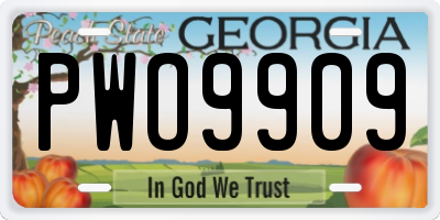 GA license plate PWO9909