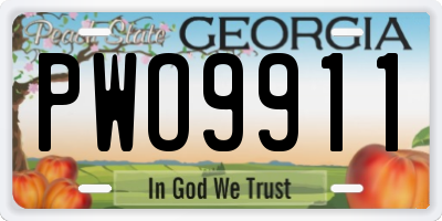 GA license plate PWO9911