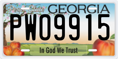 GA license plate PWO9915
