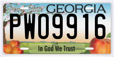 GA license plate PWO9916