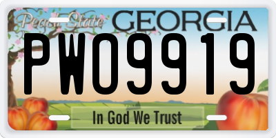 GA license plate PWO9919