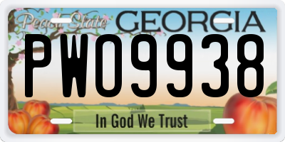 GA license plate PWO9938