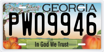 GA license plate PWO9946