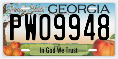 GA license plate PWO9948