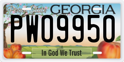 GA license plate PWO9950