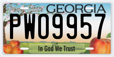 GA license plate PWO9957