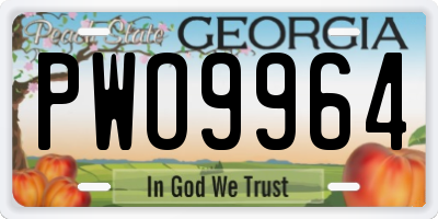 GA license plate PWO9964