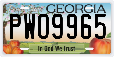 GA license plate PWO9965