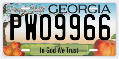 GA license plate PWO9966