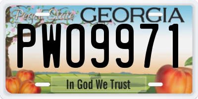 GA license plate PWO9971