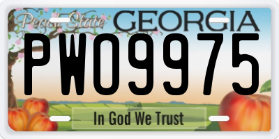 GA license plate PWO9975