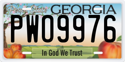 GA license plate PWO9976