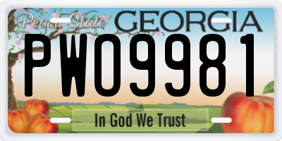 GA license plate PWO9981