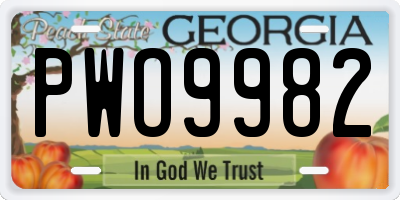 GA license plate PWO9982