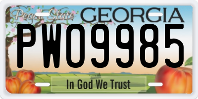 GA license plate PWO9985