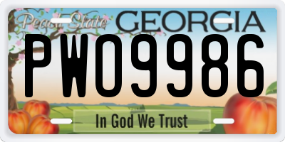 GA license plate PWO9986