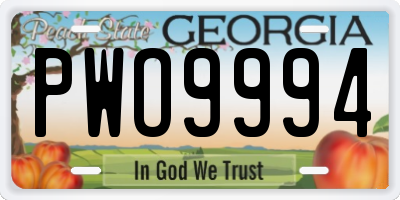GA license plate PWO9994