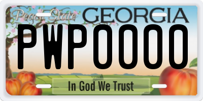 GA license plate PWP0000