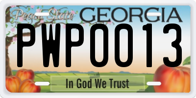 GA license plate PWP0013