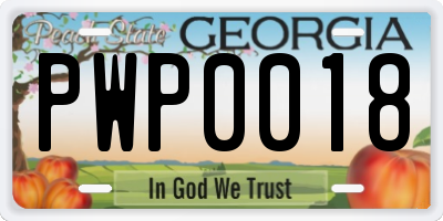 GA license plate PWP0018