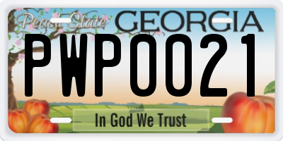 GA license plate PWP0021