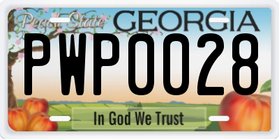 GA license plate PWP0028