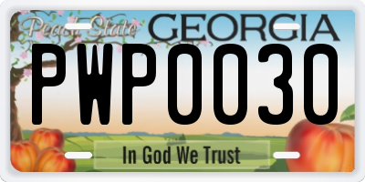 GA license plate PWP0030