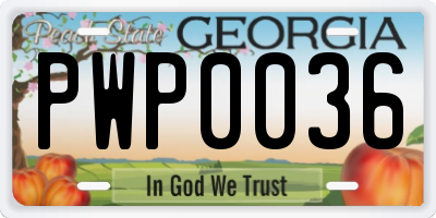 GA license plate PWP0036