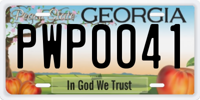 GA license plate PWP0041