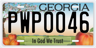 GA license plate PWP0046