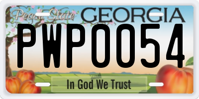GA license plate PWP0054