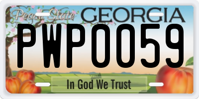 GA license plate PWP0059