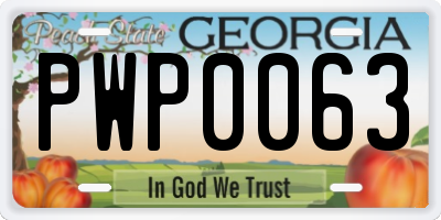 GA license plate PWP0063