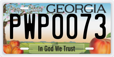 GA license plate PWP0073