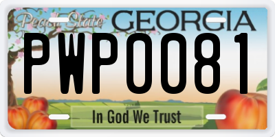 GA license plate PWP0081