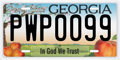 GA license plate PWP0099