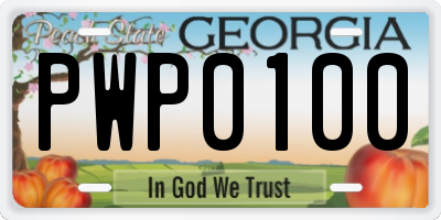 GA license plate PWP0100