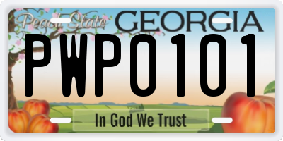 GA license plate PWP0101