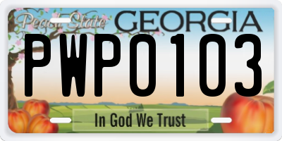 GA license plate PWP0103