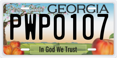 GA license plate PWP0107