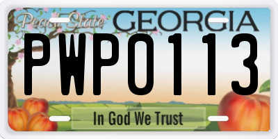 GA license plate PWP0113