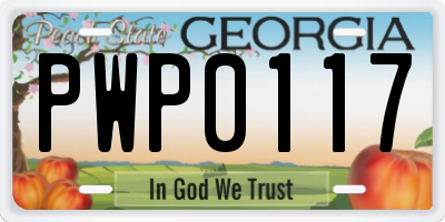 GA license plate PWP0117