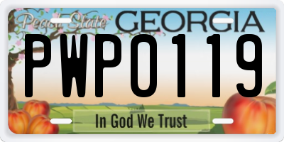 GA license plate PWP0119