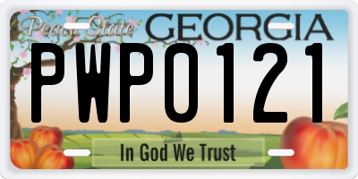 GA license plate PWP0121