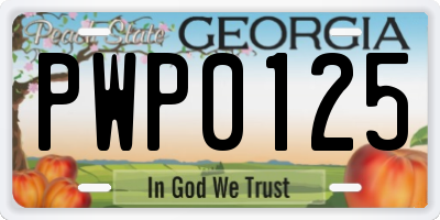 GA license plate PWP0125