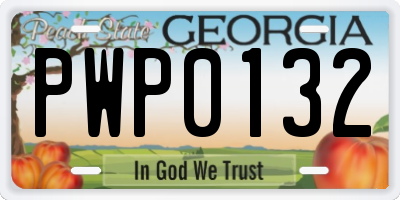 GA license plate PWP0132