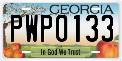 GA license plate PWP0133