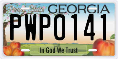 GA license plate PWP0141